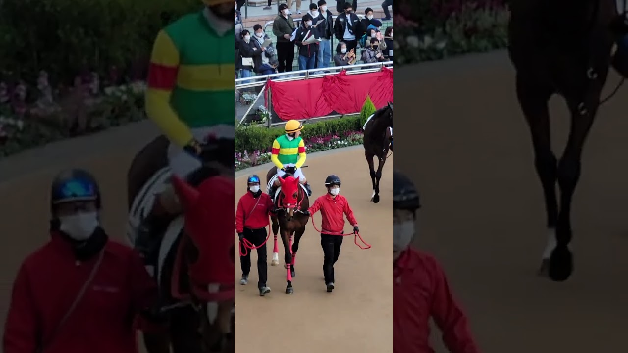 有馬記念(GⅠ)を優勝したルメール騎手…12/28の様子