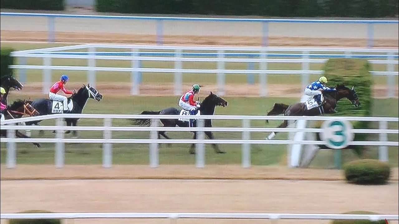 小倉4レース障害未勝利 スリーケイエヌ