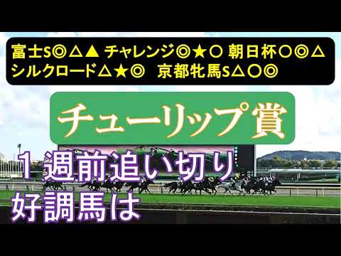 チューリップ賞2023　1週前追い切り　調教履歴が不安な馬も・・・