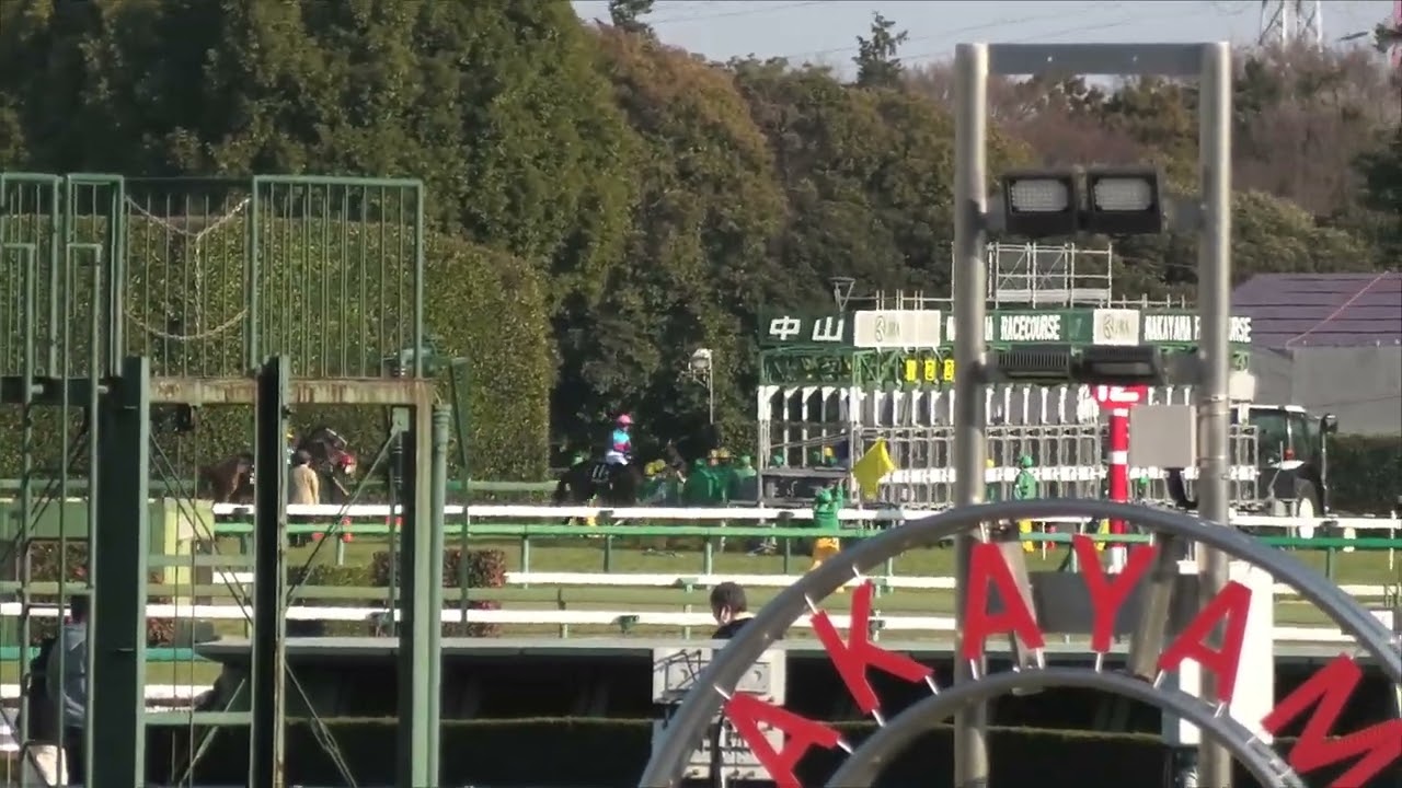 2023 01 08 中山競馬場第9レース　朱竹賞　スプレモフレイバー・クリノゴッホ・クールムーア他