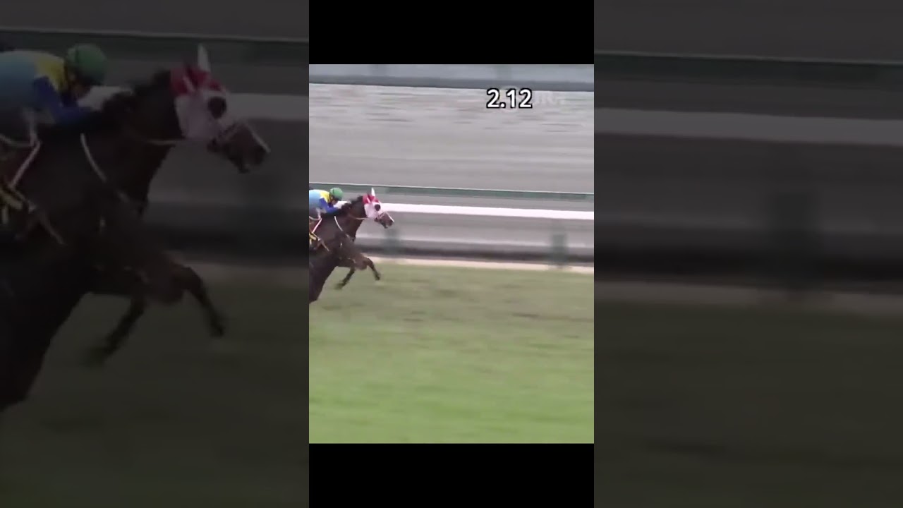 競馬豆知識　勝負服の特例！？　#shorts