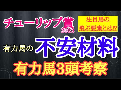 【チューリップ賞2023】有力馬考察！ドゥーラやキタウイング、ペリファーニアらの不安材料は何なのか？