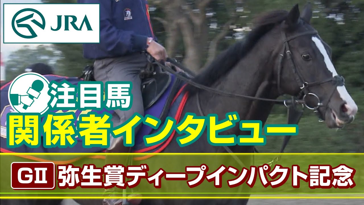 【注目馬 関係者インタビュー】2023年 弥生賞ディープインパクト記念｜JRA公式
