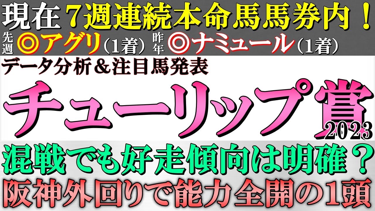【チューリップ賞2023 予想】現在７週連続本命馬馬券内！今年は混戦！それでも好走傾向は明確？阪神外回りで能力全開の注目馬＆人気薄も該当するデータ推奨馬を発表！