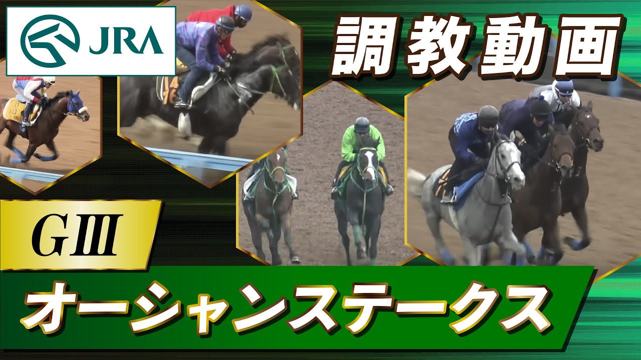 【調教動画】2023年 オーシャンステークス｜JRA公式