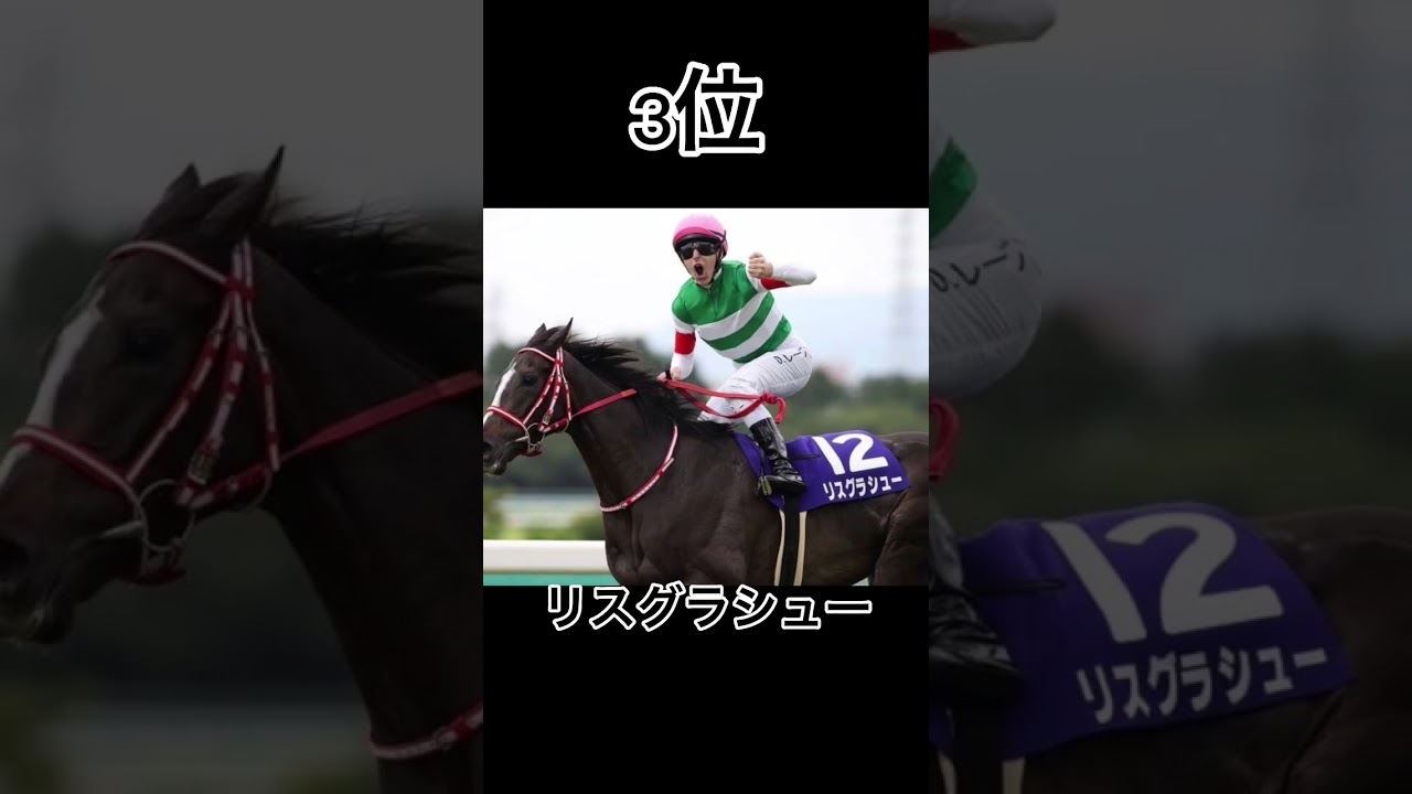 個人的好きな牝馬ランキング#競馬 #jra #牝馬#競馬予想