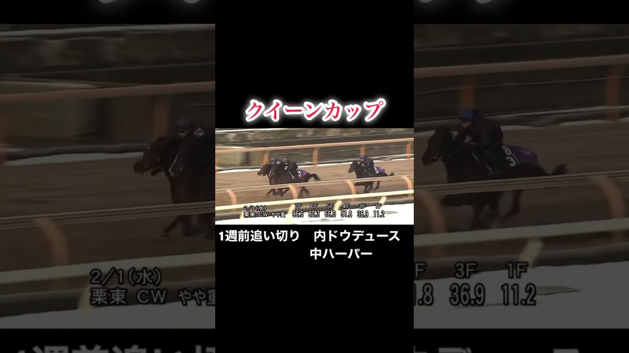 クイーンカップ　京都記念　ドウデュース　ハーパー1週前追い切り
