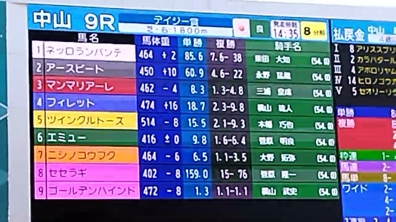 中山競馬場パドックにて