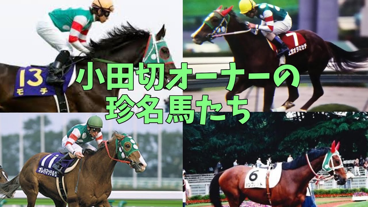 【オダギラー集合】小田切オーナーの珍名馬たち【ゆっくり解説】