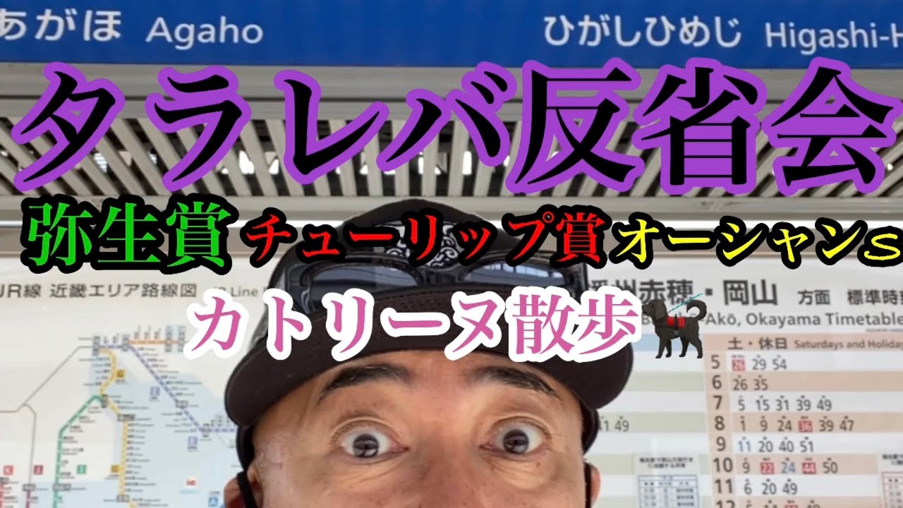 【タラレバ反省会・弥生賞・チューリップ賞🌷オーシャンS】カトリーヌ散歩🐕‍🦺