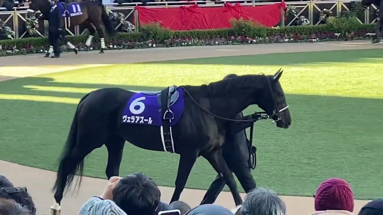 中山11レース 有馬記念(GI)パドック