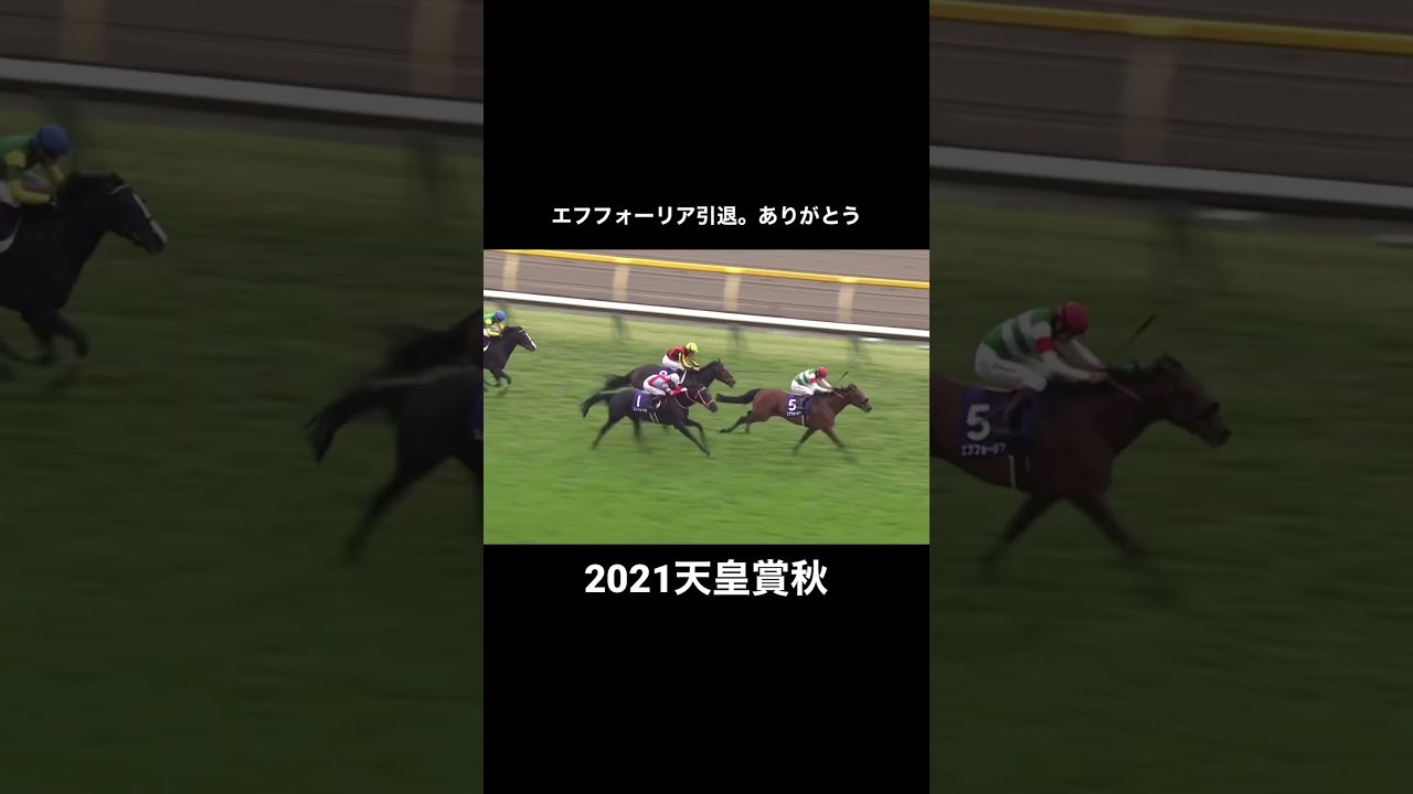 #競馬予想 #競馬mad #エフフォーリア #天皇賞秋