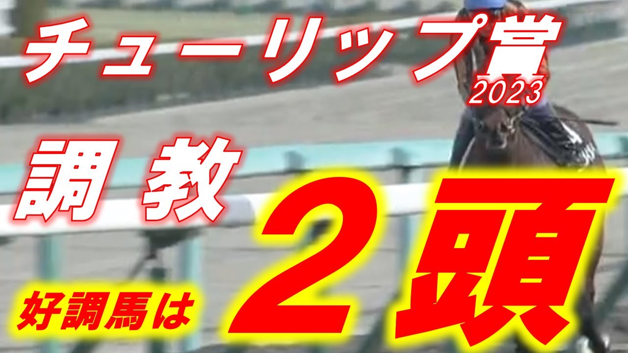 チューリップ賞2023　追い切り診断！！　良く見えた馬は2頭、堅めの決着となるか！？　元馬術選手のコラム【競馬】