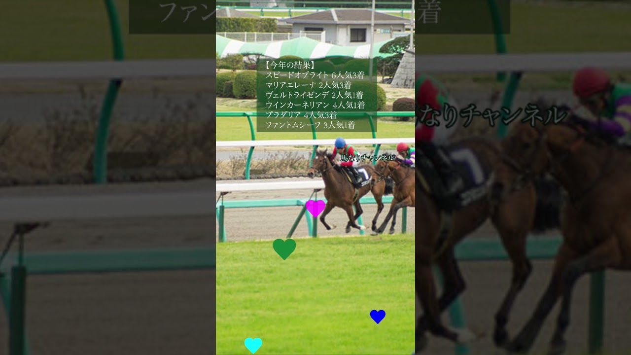 【チューリップ賞 2023】想定人気上位馬 評価ABC《桜花賞馬はこの中にいるのか！》　#競馬予想 #jra #チューリップ賞2023 #阪神競馬場