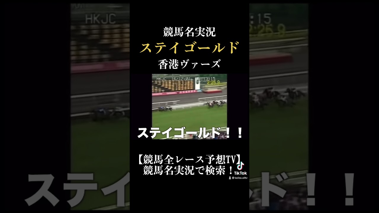 【競馬名実況】ステイゴールド／香港ヴァーズ【ラストラン】