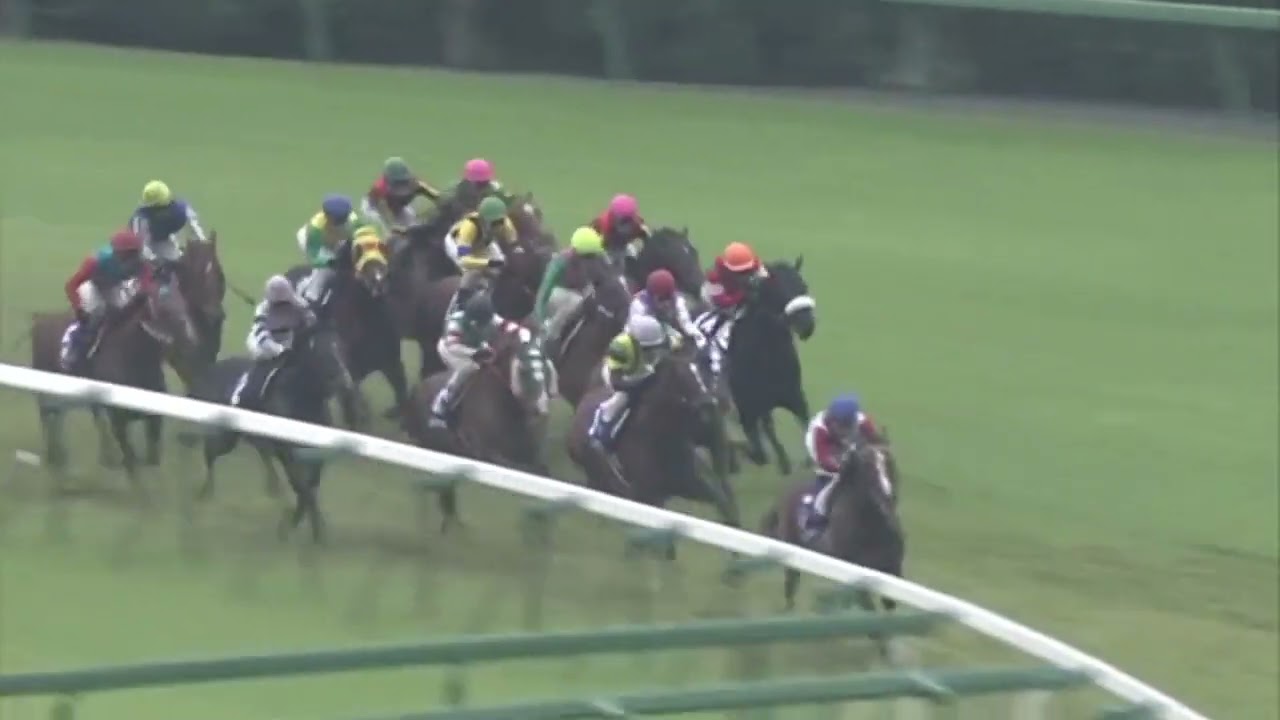 スプリンターズステークス  アストンマーチャン