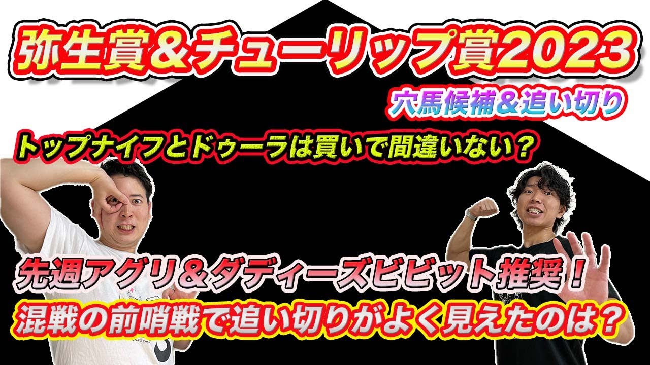 【弥生賞＆チューリップ賞】先週アグリ＆ダディーズビビット推奨！混戦の中で追い切り好調な穴馬は!?
