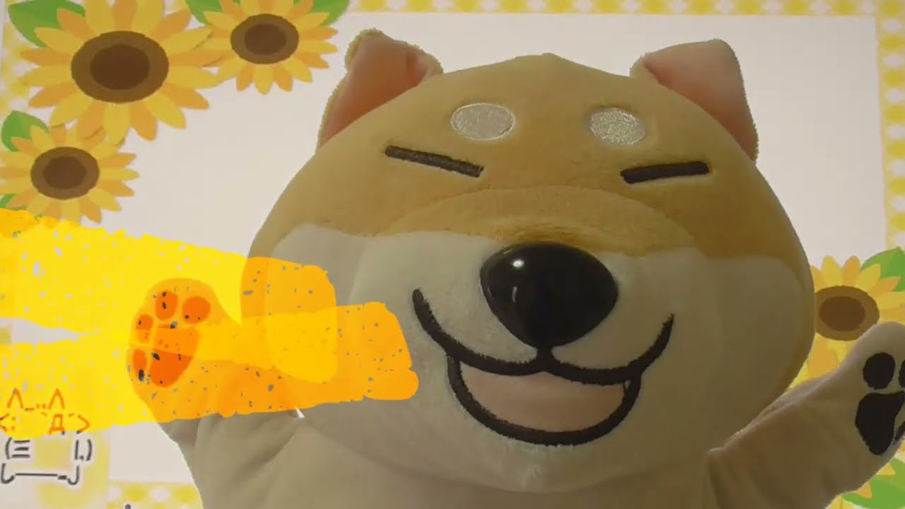 アファメーションすると、美人になるのか？？