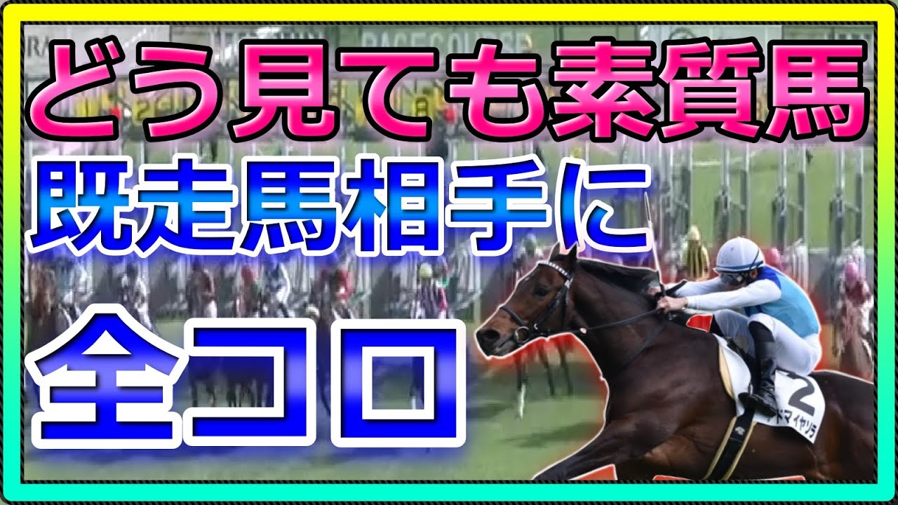 【競馬】フェブラリーS惨敗～その後のトーマス。給料と収益入ったので今週も競馬頑張ります。