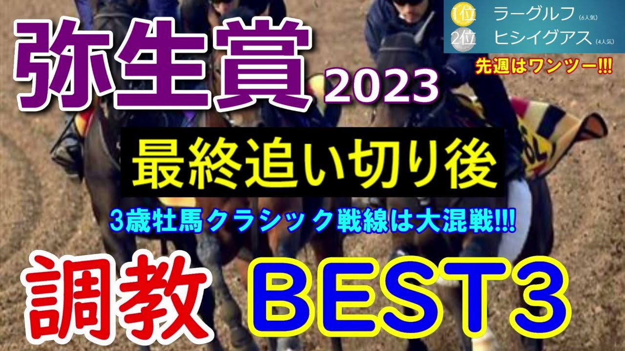 【弥生賞2023】調教BEST3　人気はホープフルS2着のトップナイフだが、他にも良さそうな馬が・・・【調教診断】