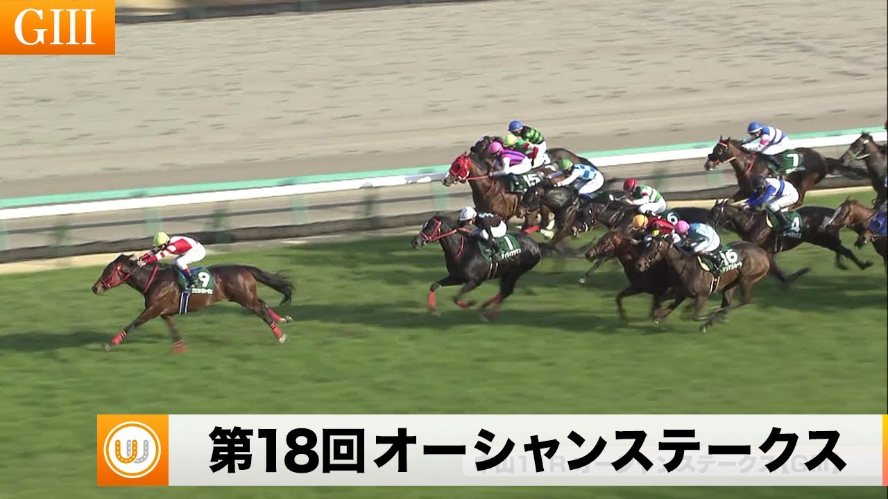 【2023】第18回オーシャンステークス（GIII）中山競馬場11R ｜ウイニング競馬 2023年3月4日（土）
