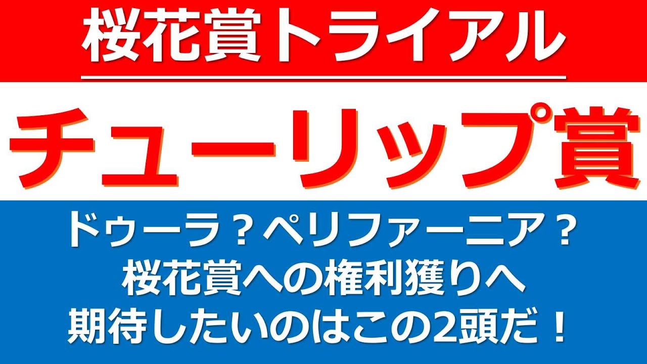 【チューリップ賞2023】ドゥーラ？それともペリファーニア？重賞勝ち馬キタウイング？混戦模様の桜花賞トライアル、チューリップ賞【G2】の注目したい2頭をピックアップ！