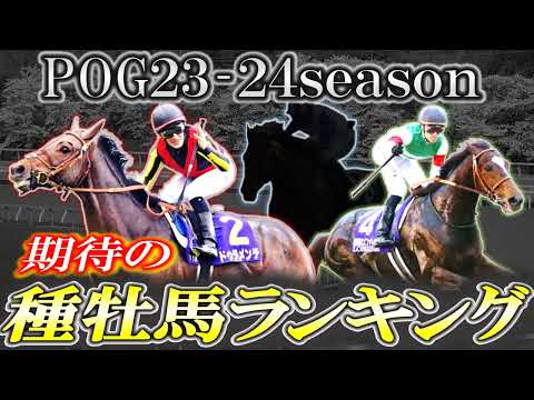【pog23-24】次期POGシーズン期待の種牡馬ランキング！Sランクはあの名馬！【種牡馬】