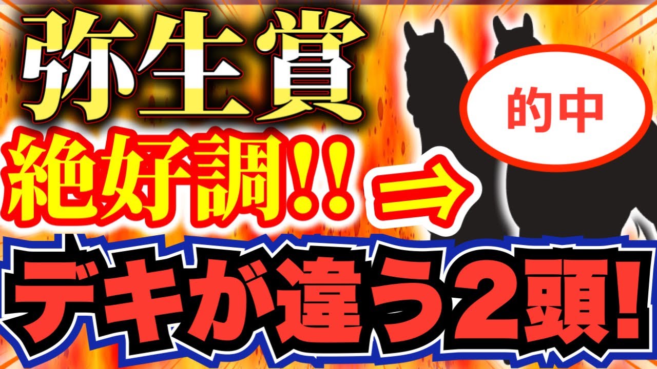 弥生賞 2023【この2頭が絶好調】年間回収率110％！