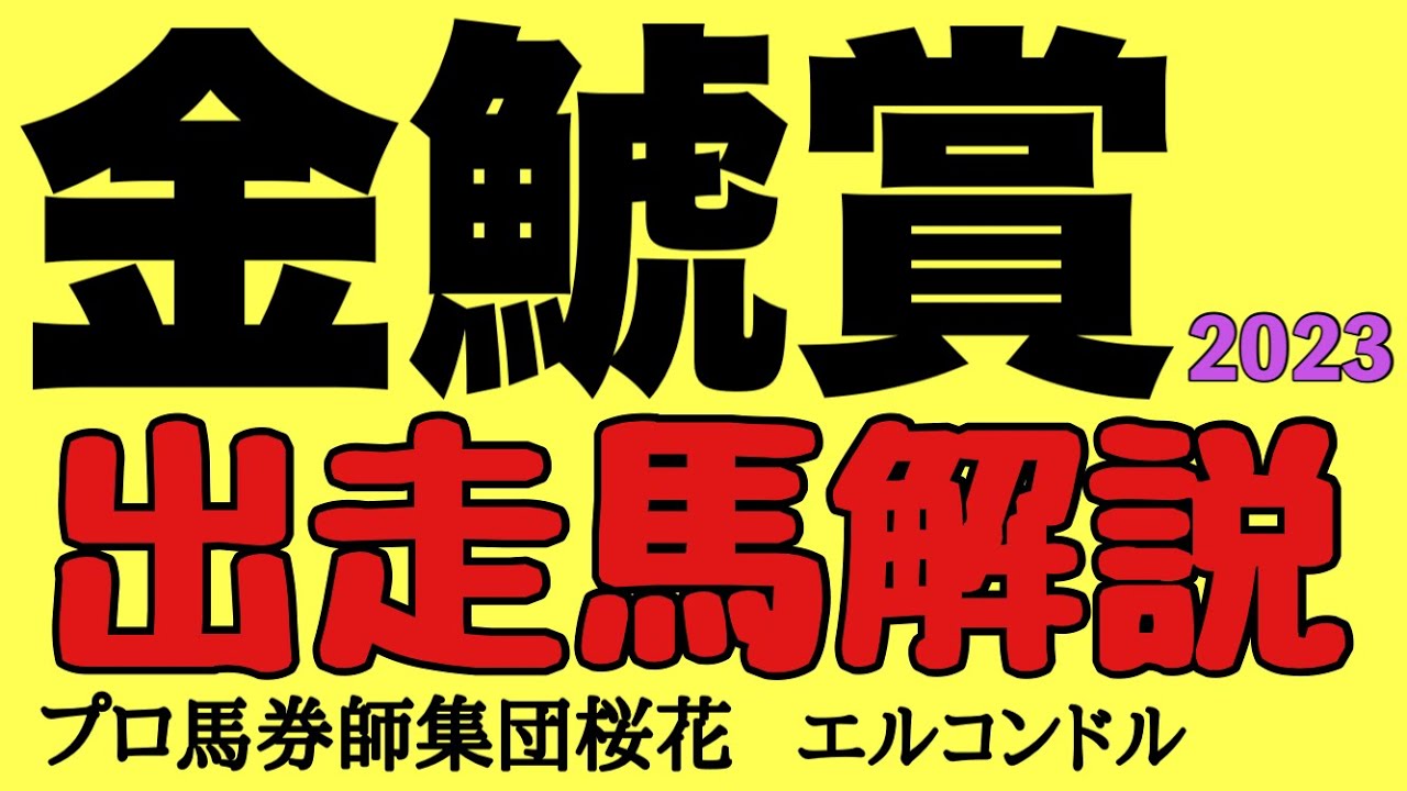 プロ馬券師集団桜花エルコンドル氏の金鯱賞2023出走馬解説！！1着馬に大阪杯優先出走権！大阪杯連覇を狙うポタジェにマリアエレーナやフェーングロッテン重賞を制した馬達が揃い楽しみなメンバー構成！