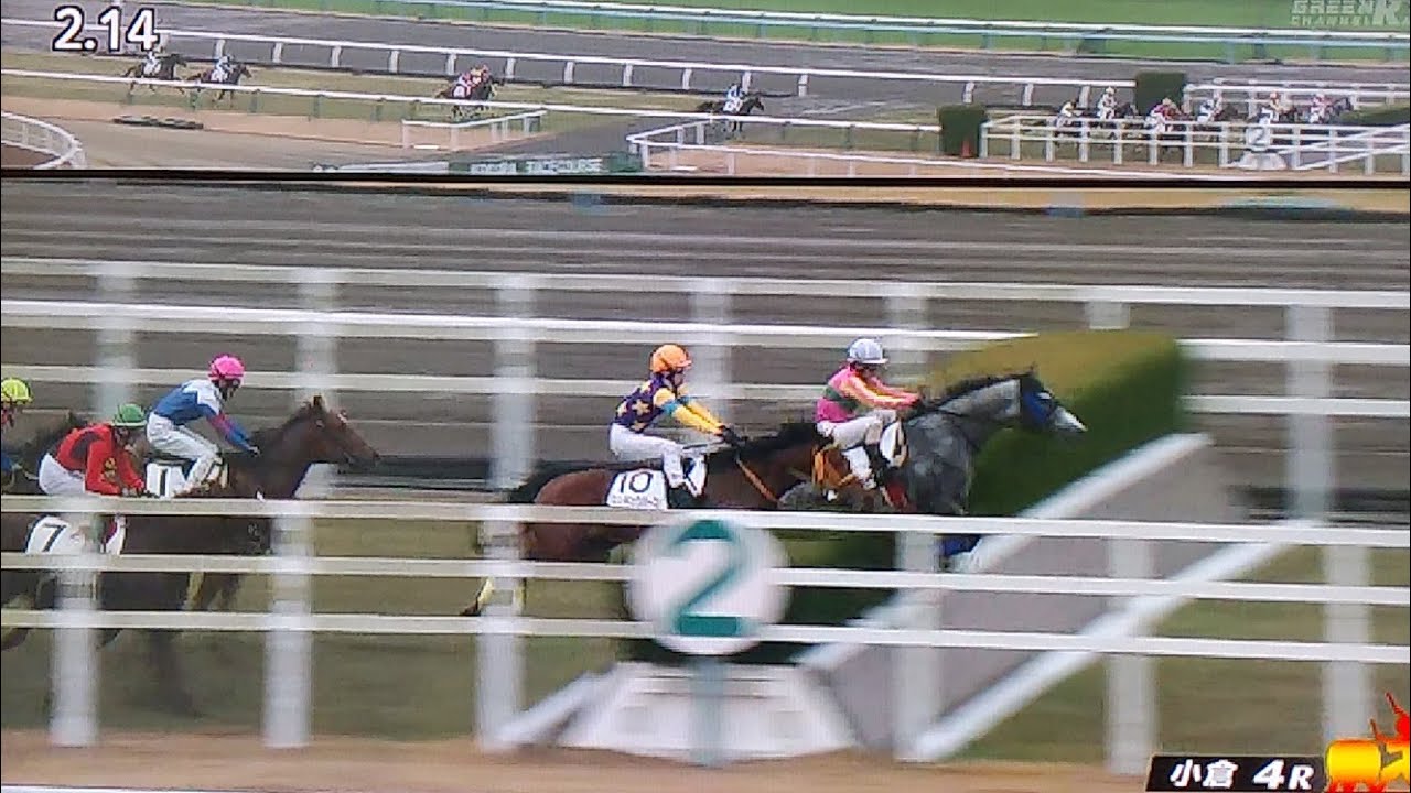 小倉4レース障害未勝利 ゴールドフレーム