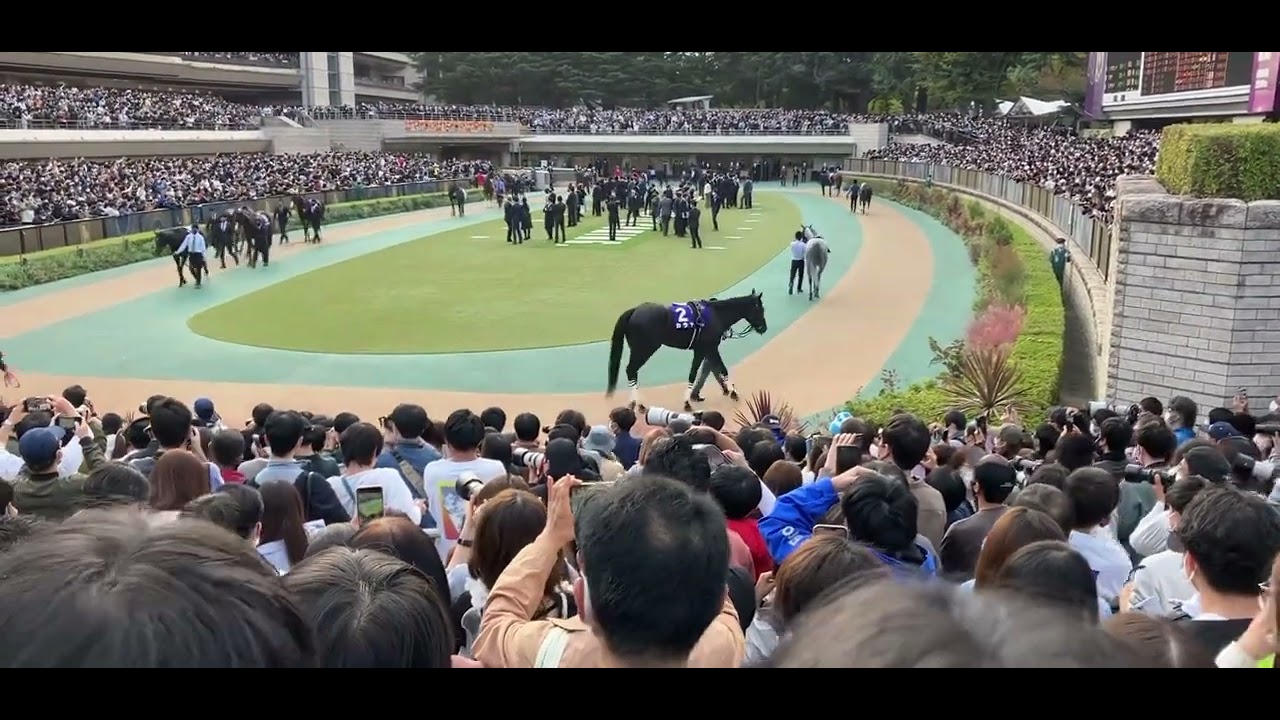 2022天皇賞・秋パドック現地映像前途中頭邪魔