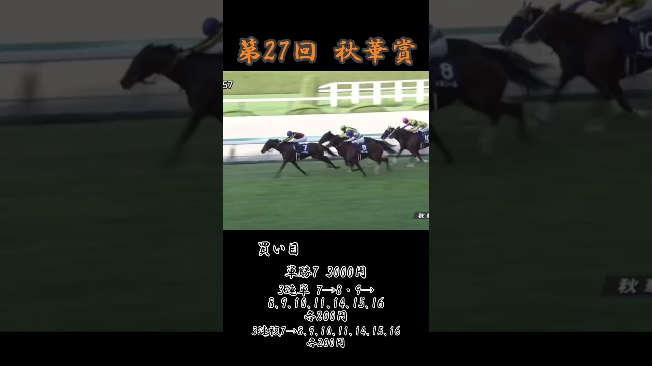 #秋華賞 #jra #ナミュール #スタニングローズ #競馬