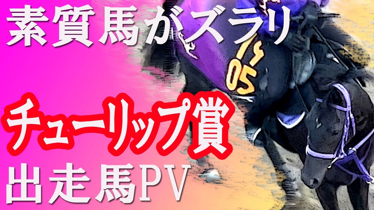 第30回 チューリップ賞（GⅡ）（桜花賞トライアル） 出走馬プロモーションビデオ　Racehorses with music