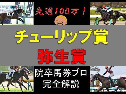 【完全版】弥生賞＆チューリップ賞！コレだけ見ればすべてがわかる！