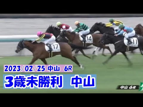 2023/02/25【パドック返し馬つき】中山6R　３歳未勝利戦　　☆ドゥムーラン　サトノダイヤモンド　＃レースは11分ころから