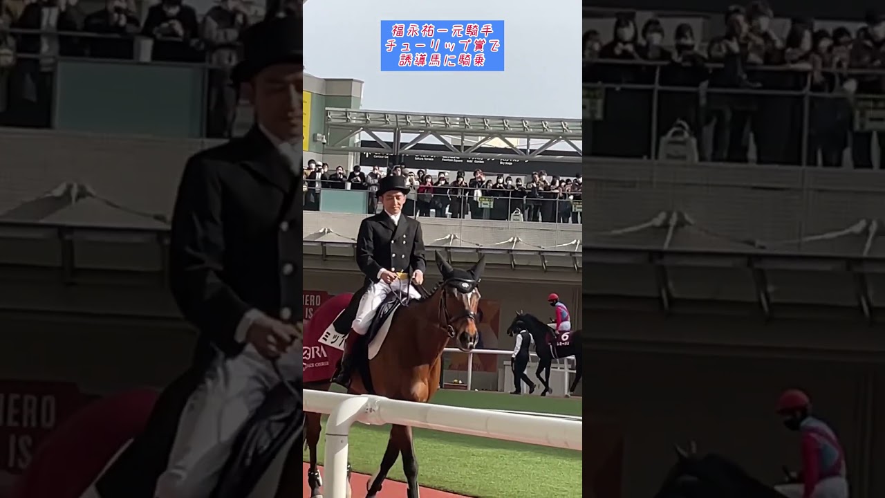 【福永祐一元騎手】チューリップ賞で、誘導馬に騎乗⭐️#shorts