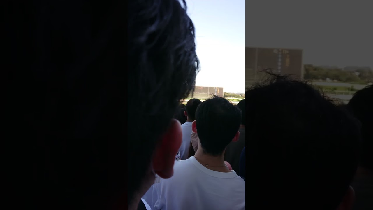 マリアズハート・スプリンターズS
