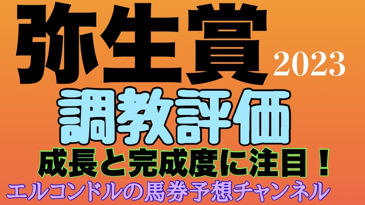 プロ馬券師集団桜花のエルコンドル氏のディープインパクト記念弥生賞2023調教評価！！実績と人気を集めそうなトップナイフの出来は？！現時点での完成度の高い馬とここきて成長した馬がいる！？