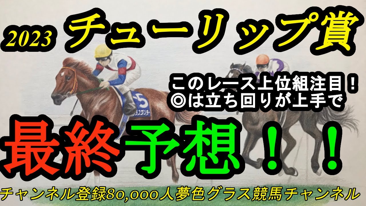【最終予想】2023チューリップ賞！このレース上位馬に注目！本命は競馬センスに大きな武器あり！ペリファーニア大外枠の評価は？