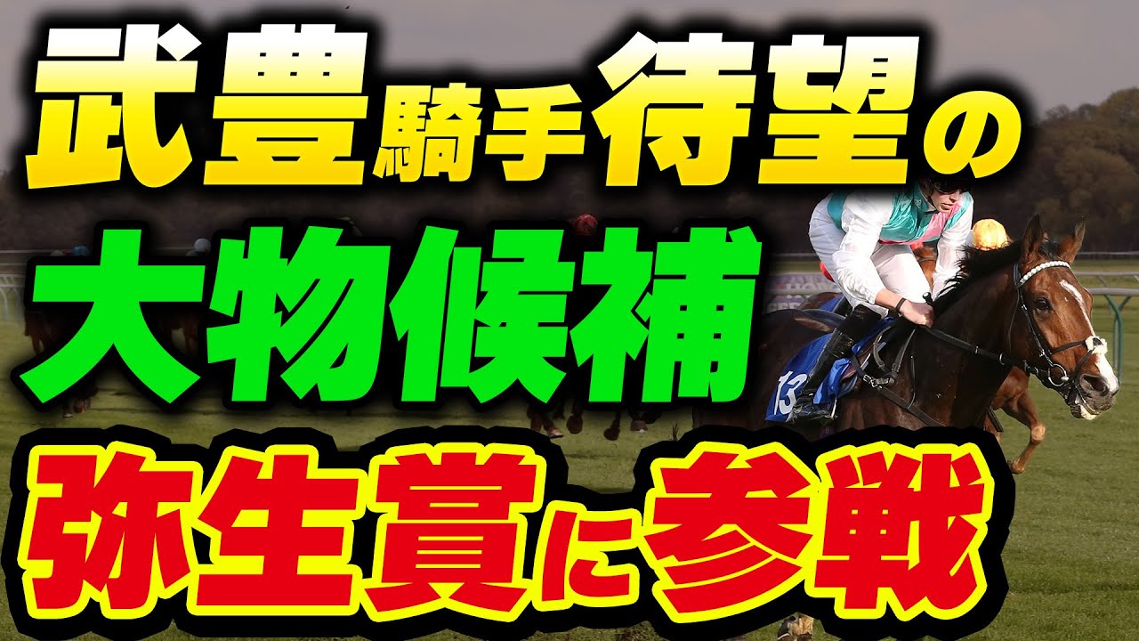 武豊騎手待望の大物候補、いよいよ弥生賞に参戦