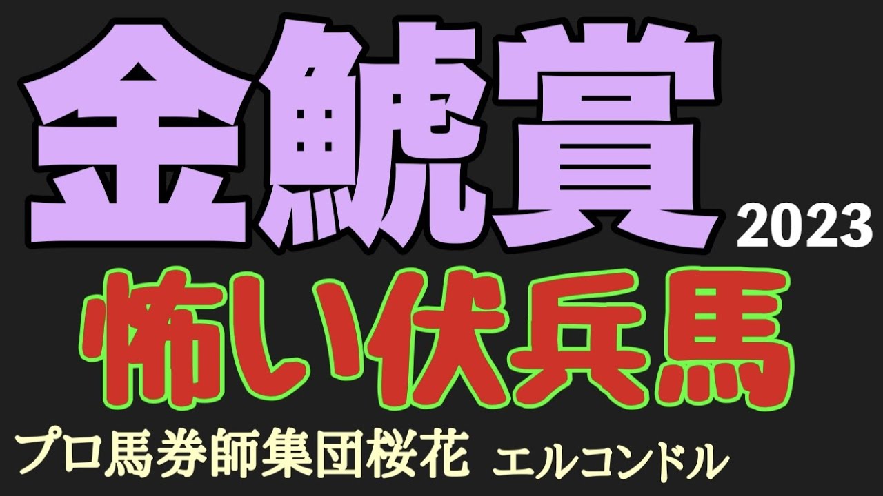 プロ馬券師集団桜花エルコンドル氏の金鯱賞2023怖い伏兵馬！！小頭数の出走メンバーになったが賞金の足りない伏兵馬の中に面白い馬がいる！