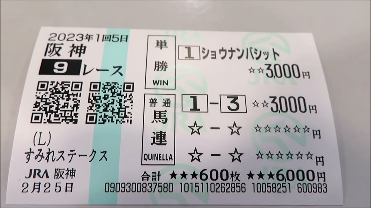 でけたぁ～の先生　阪神競馬場勝負５