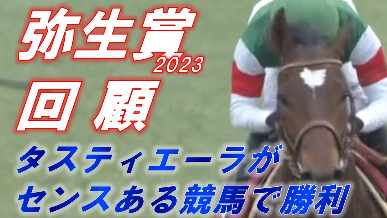 弥生賞2023　回顧　タスティエーラが勝利も2，3着馬も皐月賞で逆転可能！！　元馬術選手のコラム【競馬】