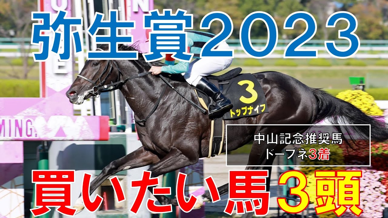 弥生賞 ディープインパクト記念 2023 買いたい馬3頭 混戦模様だからこそ狙いたい馬