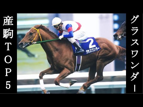 グラスワンダー産駒TOP5