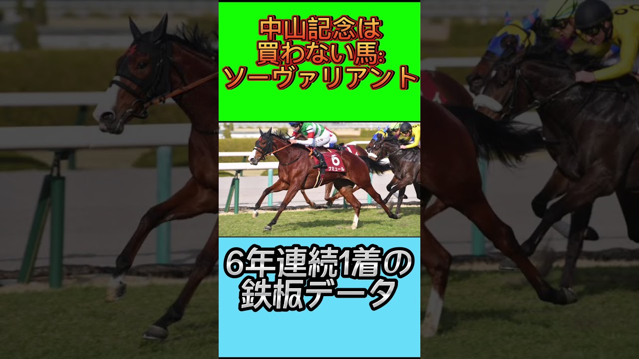 【チューリップ賞】桜花賞へ向けて #競馬 #競馬予想 #チューリップ賞