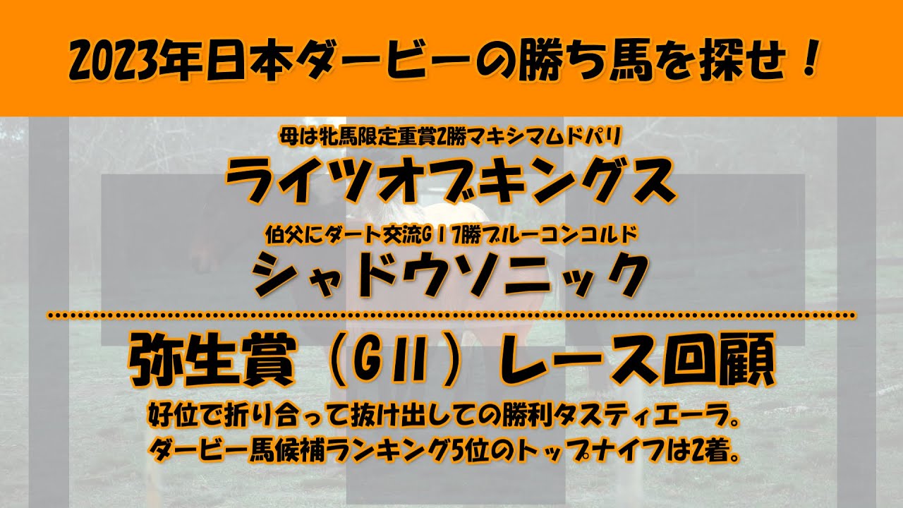 2023年日本ダービー馬を探せ！#48　ライツオブキングス、シャドウソニックを注目馬として取り上げました。皐月賞トライアル弥生賞（GⅡ）レース回顧もさせて頂きました。