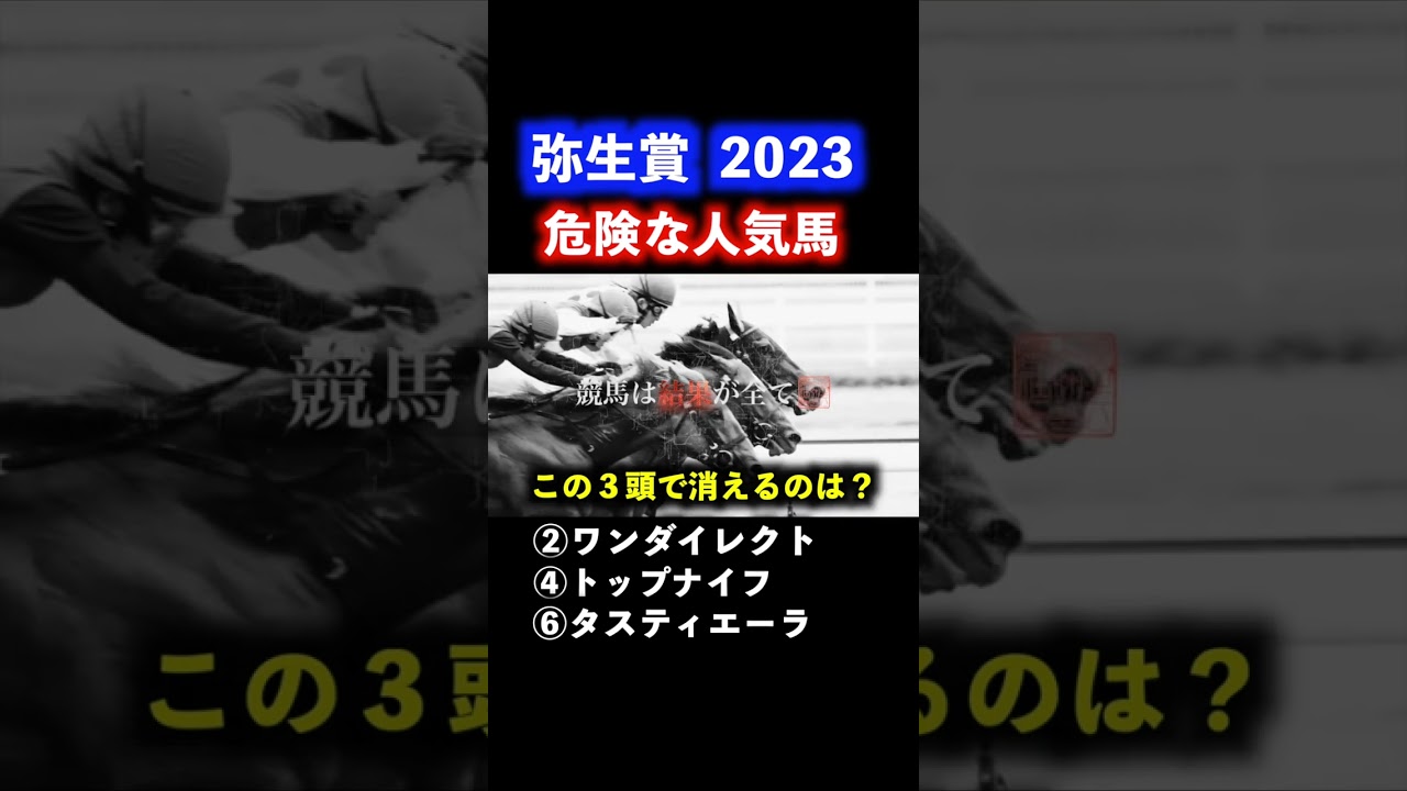 弥生賞 2023  人気３頭で消える馬は？少頭数でも上位拮抗で混戦！