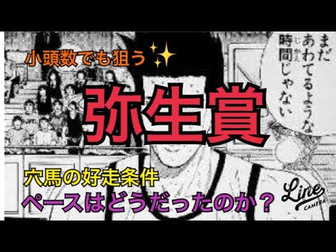 【弥生賞】結果　皐月賞の切符を手にするのは？　#11