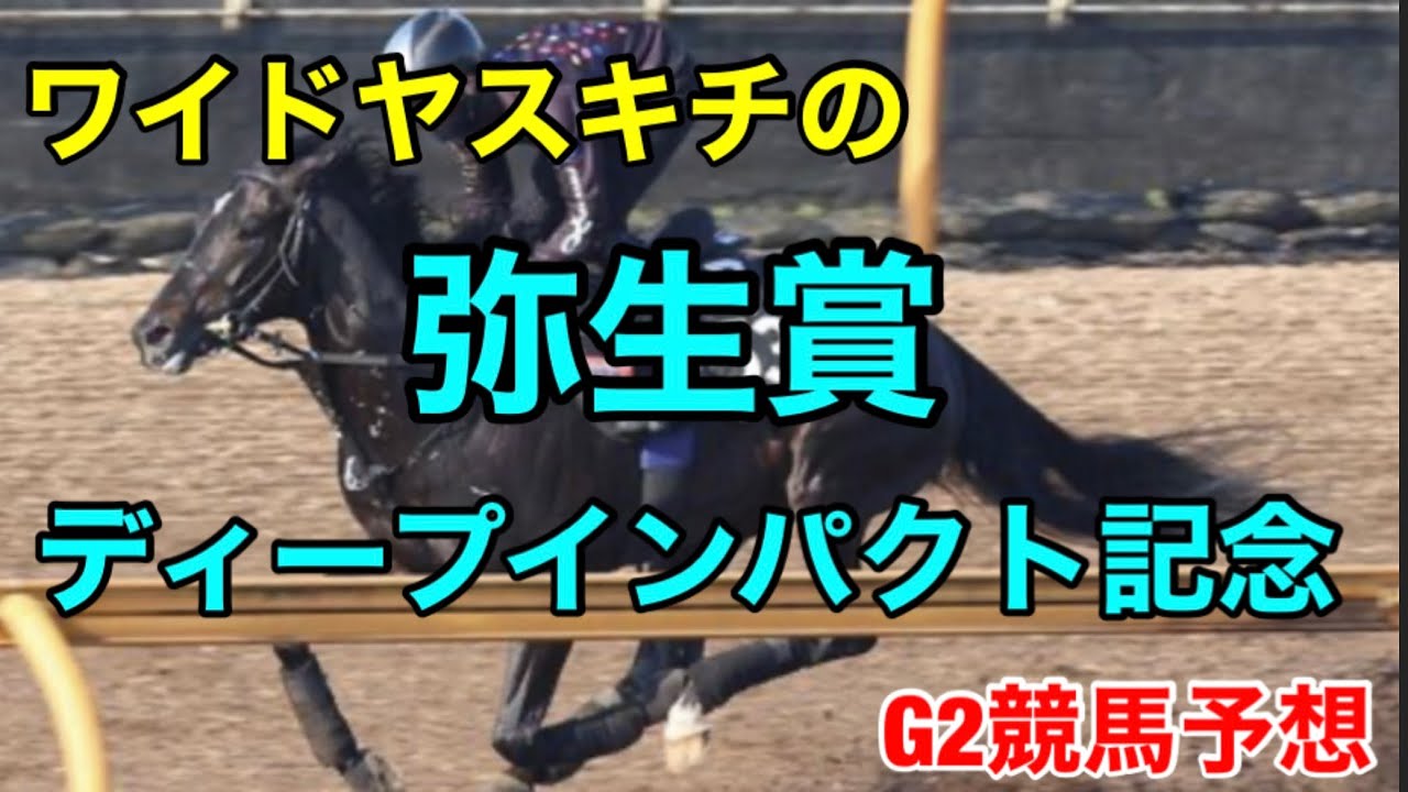 ワイドヤスキチの弥生賞ディープインパクト記念2023G2競馬予想